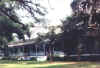Myrtles4.jpg (60413 bytes)