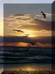 sunrise.jpg (67079 bytes)